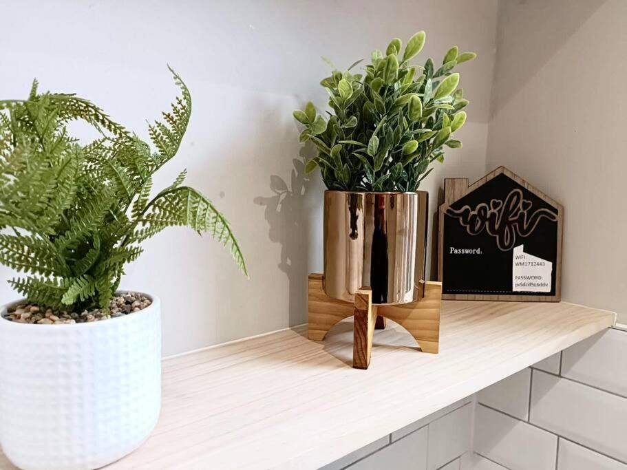 Rosa House Villa Дарлингтън Екстериор снимка